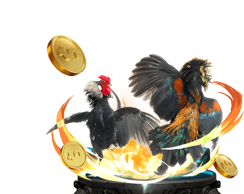 Quy tắc đặt cược và trò chơi công bằng tại zz88 đăng nhập