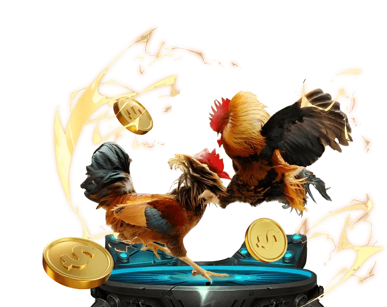 Cá cược thể thao zz88